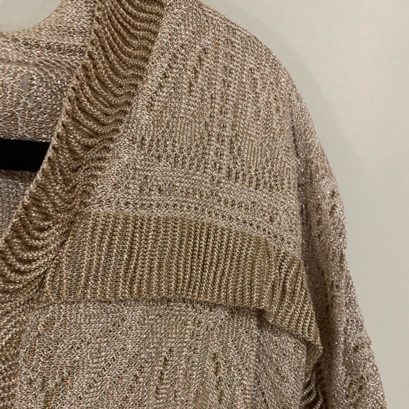 Damianou Rose Gold Vintage Dress - Picture 3 of 5